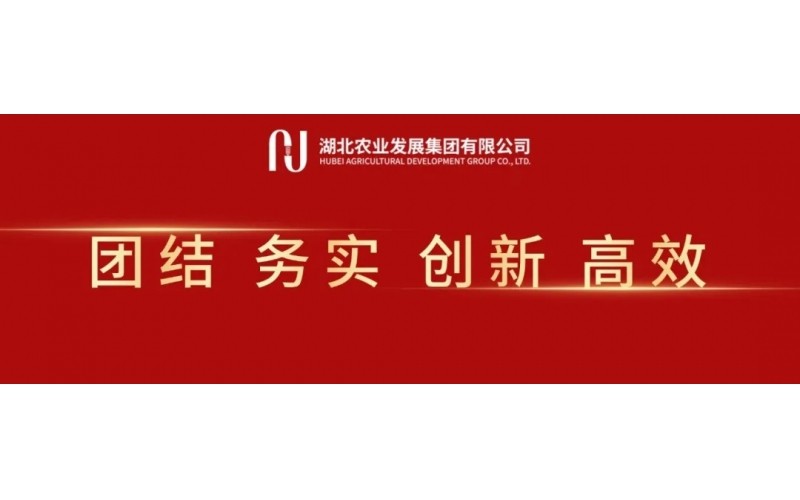 湖北农发集团召开党委(扩大)会 传达贯彻全省集中整治违规吃喝动员部署会精神